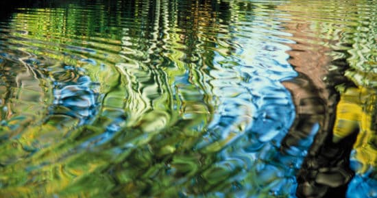 Photograph of water in a lake or river