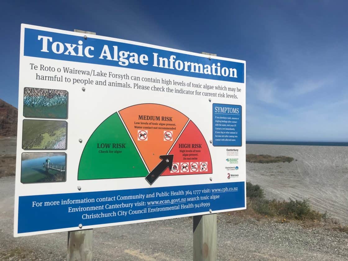 A number of health warnings still remain in place for algal blooms in Canterbury