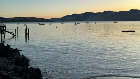 A photo of Lyttelton Bays, Canterbury